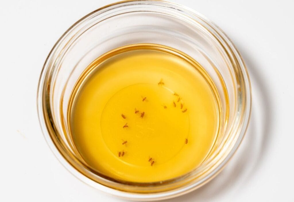 Small fruit flies are floating in a clear bowl of amber liquid on a white surface, offering insight into tips to get rid of drain flies.