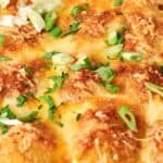 Close-up of a baked cheesy dish topped with sliced green onions and herbs.