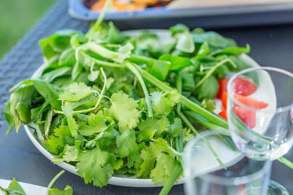 A white plate filled with fresh cilantro and green onions, on a table.