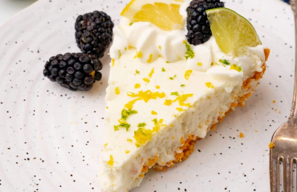 A slice of pie topped with whipped cream, blackberries, a lemon wedge, and a lime wedge, garnished with lemon and lime zest on a speckled plate with a fork.