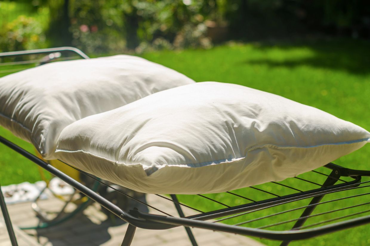 Two white pillows are airing out on a metal rack outdoors with a grassy background.