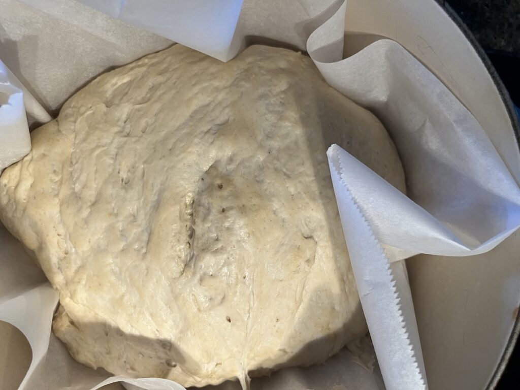 Bread dough nestled comfortably in a pot, cradled by soft parchment paper.