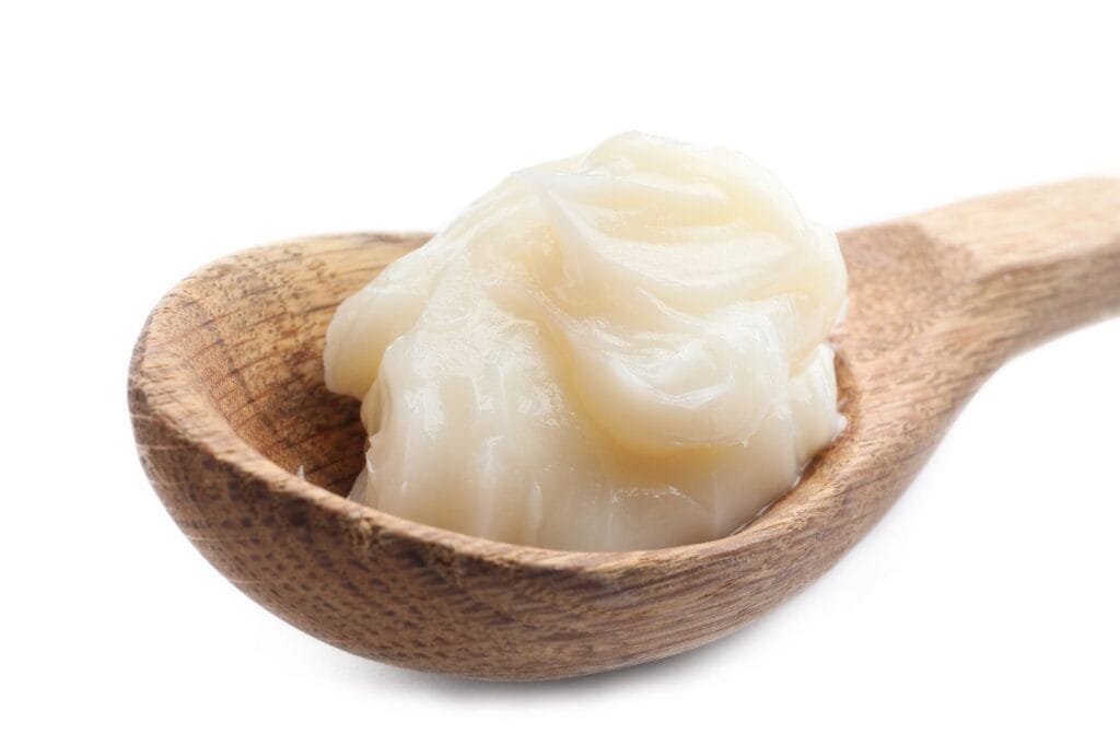 A wooden spoon holding a dollop of white lard against a plain white background.