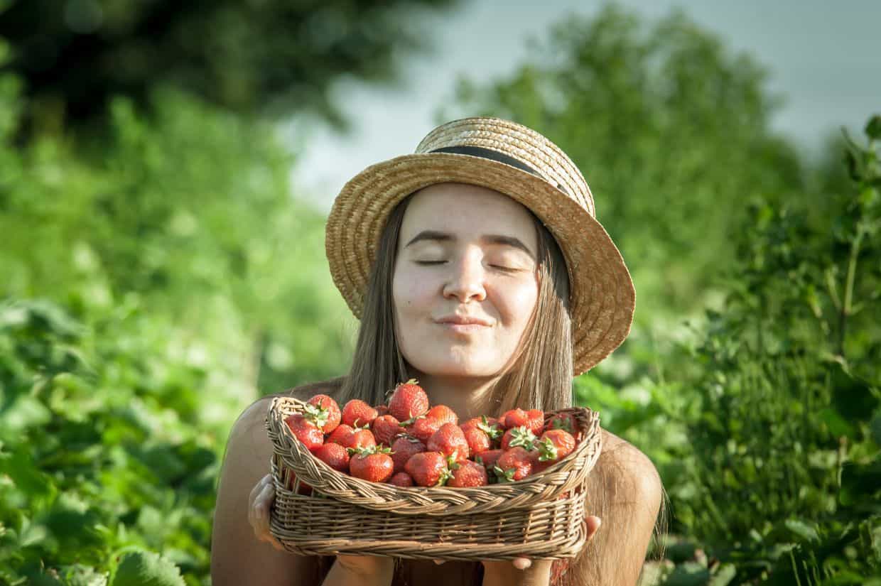 A person wearing a straw hat holds a basket of strawberries in a garden, eyes closed and smiling slightly. Lush greenery surrounds them under clear skies.