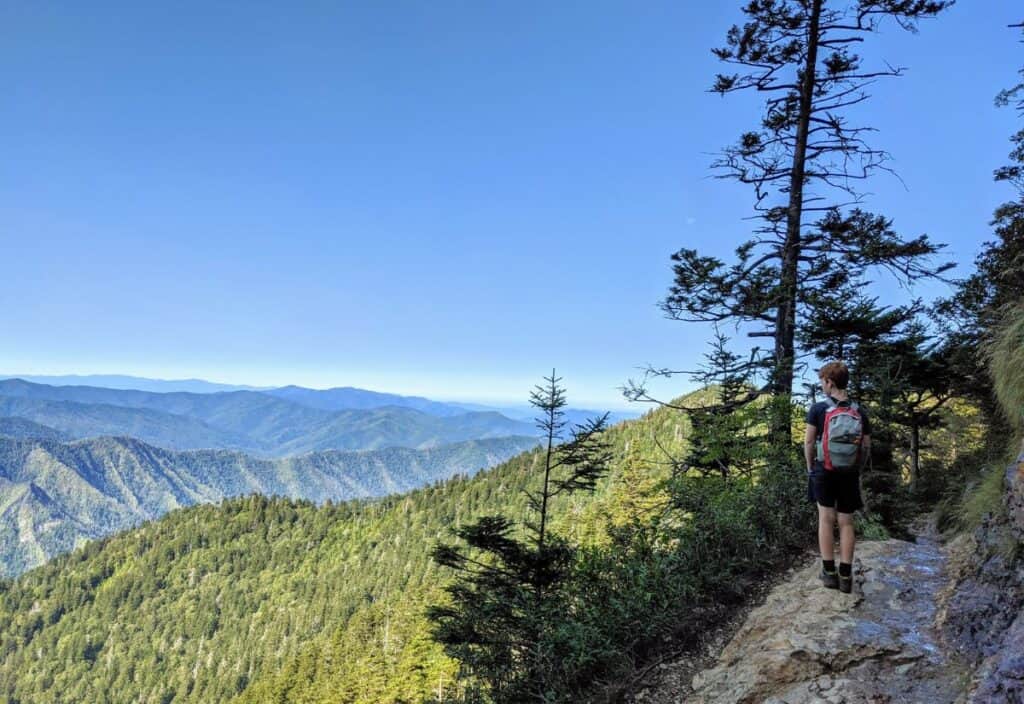 A hiker wearing a backpack stands on a forested mountain trail, looking out over layers of distant mountain ridges under a clear blue sky.