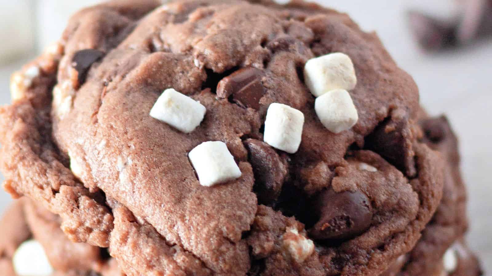 A close-up of a chocolate cookie with chocolate chips and small white marshmallows on top.