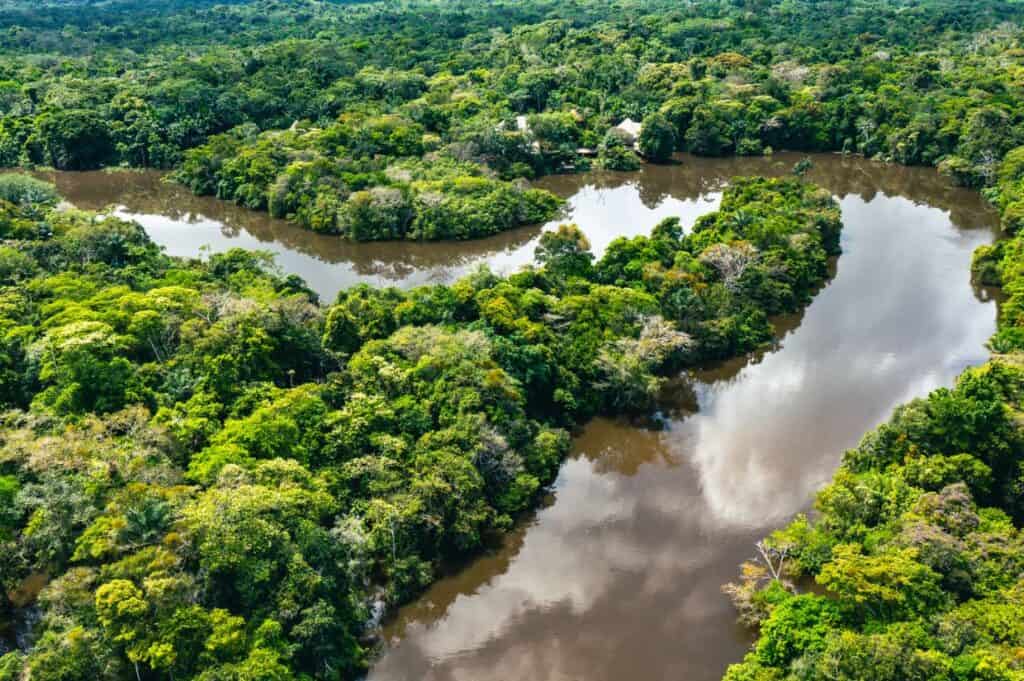 Aerial view of a winding river surrounded by dense green rainforest, capturing the rv brasilian dream with clouds reflected on the water&rsquo;s surface.