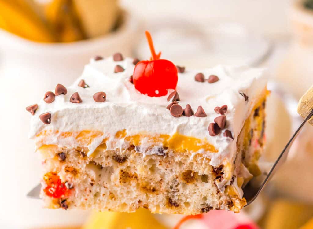 A close-up of a slice of cake with whipped cream, chocolate chips, and a cherry on top, showing layers of cake with chocolate chips and fruit pieces.