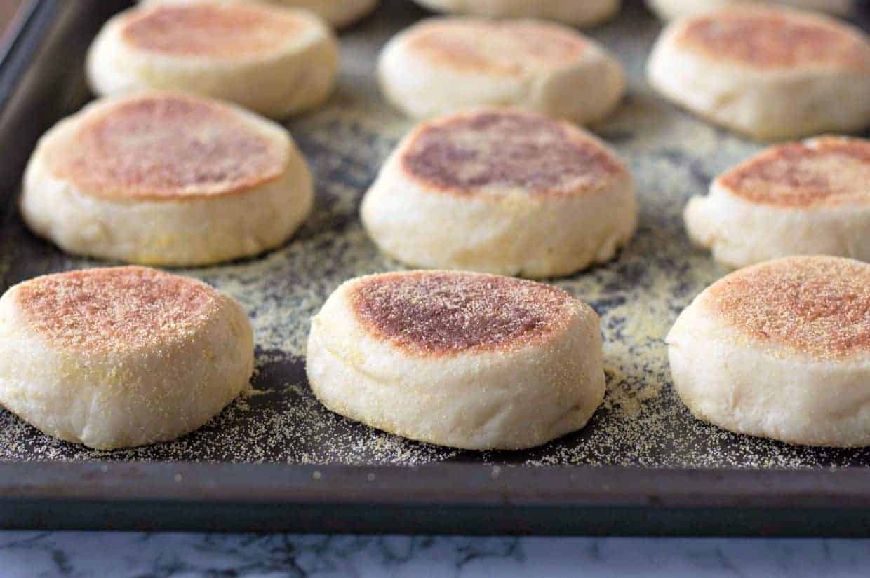 A baking tray with several English muffins, dusted with cornmeal.