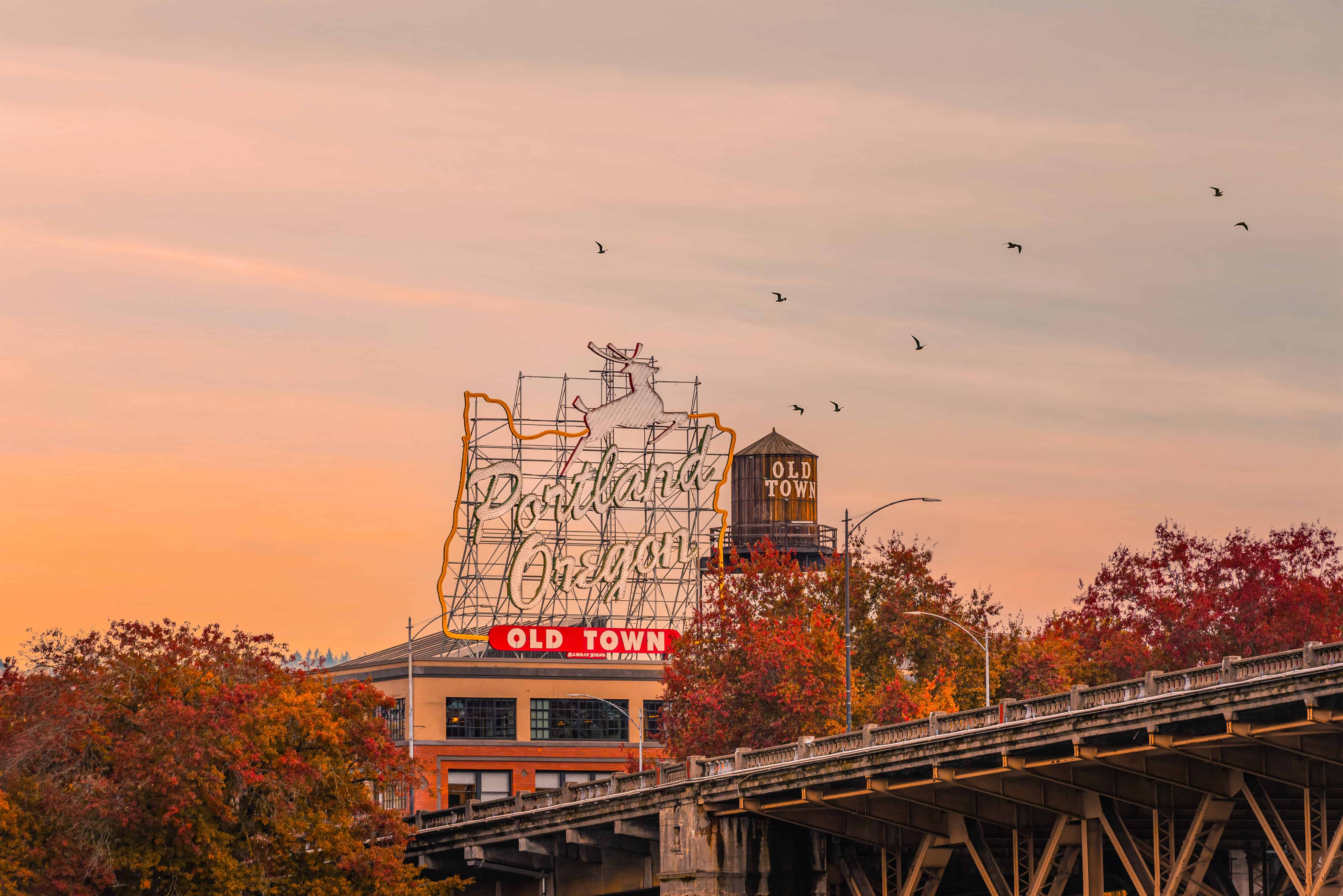 Portland Charm Spirits stir beneath Portland's quirky charm