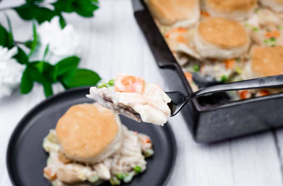 A fork holds a bite of chicken pot pie with vegetables and biscuit topping, with a plate and baking dish of the same meal in the background.