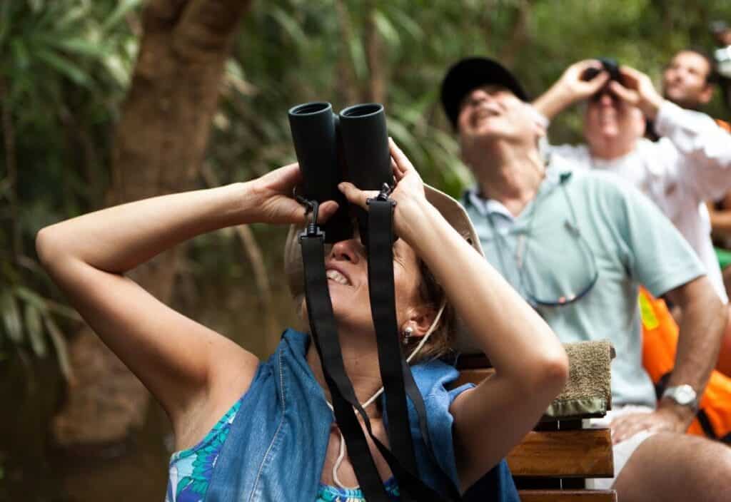 A group of people sit outdoors in a wooded area, looking up through binoculars, possibly birdwatching or observing wildlife.