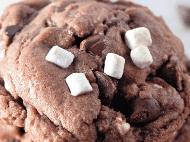 A close-up of a chocolate cookie with chocolate chips and small white marshmallows on top.