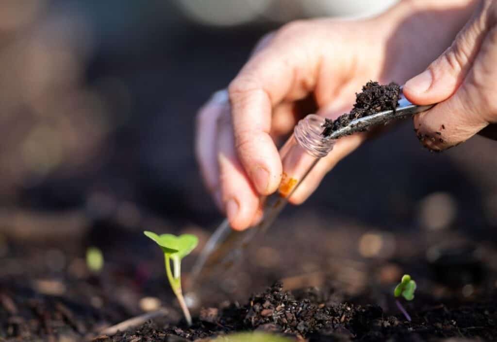 Soil testing for spring planting turns crossed fingers into confidence ...