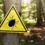 Yellow triangular warning sign with a black tick symbol attached to a tree trunk in a forest setting.