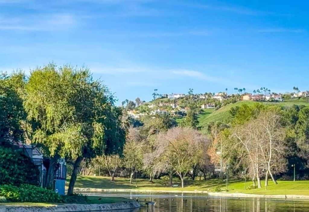 A calm pond bordered by green grass and trees, with houses and palm trees visible on a hill under a clear blue sky in the background.