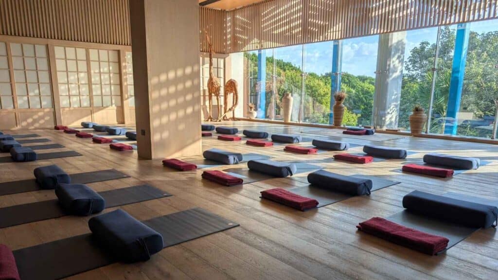 A spacious, sunlit yoga studio with large windows, wooden floors, and neatly arranged mats, bolsters, and towels, overlooking green trees outside.