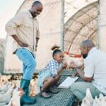 Two adults and a child interact on a chicken farm during workplace visits, surrounded by chickens. One adult holds a clipboard, while the child holds a chicken egg.