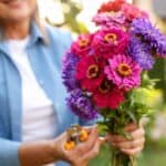 A person holding a bouquet of pink and purple flowers and pruning shears stands outdoors in a cut flower garden.