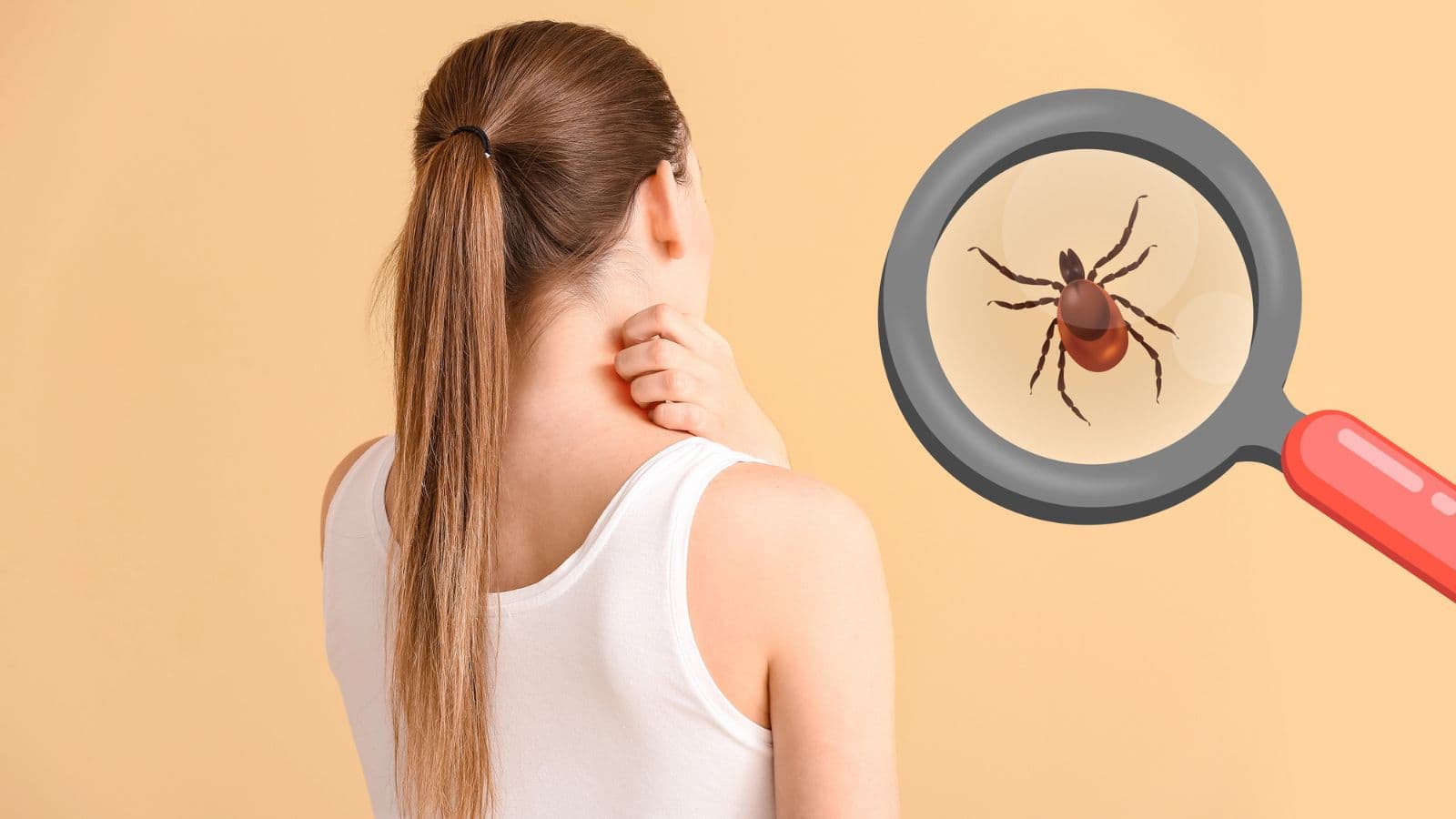A woman scratches her neck while a large illustration of a tick under a magnifying glass appears next to her.