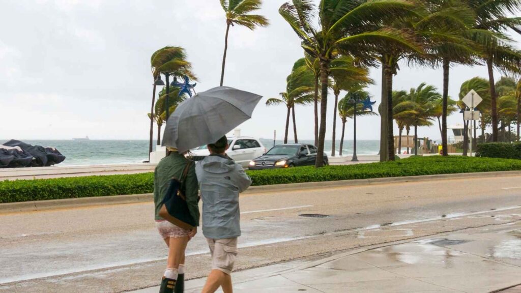 Two people walk on a wet Florida sidewalk by the beach, sharing an umbrella on a windy, overcast day with palm trees bending in the wind.