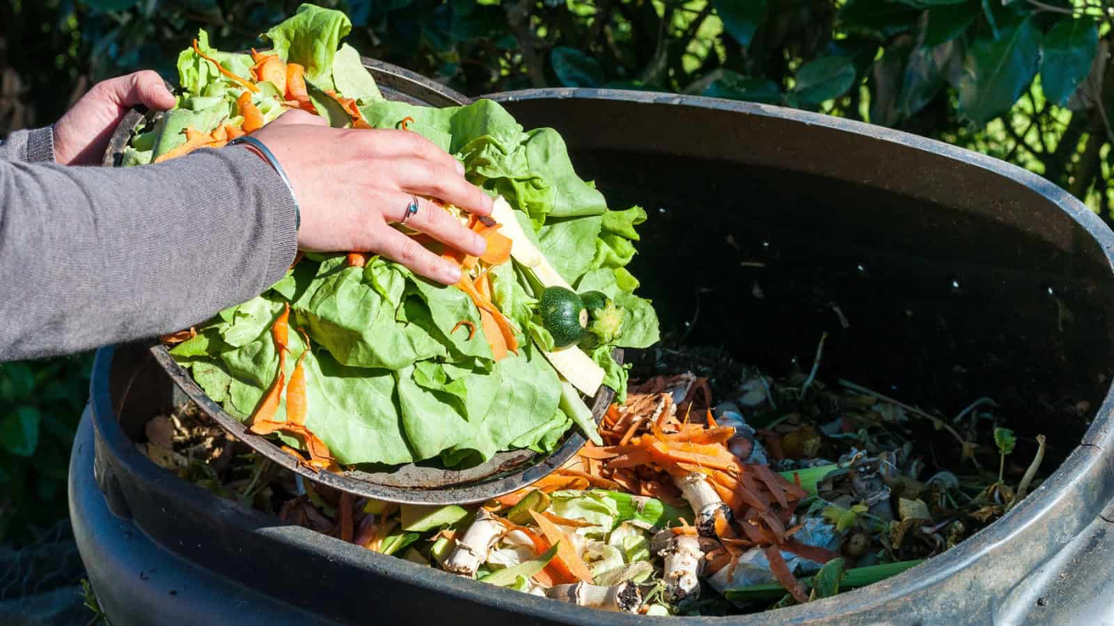 A person adds vegetable scraps and peels to an outdoor compost bin surrounded by green foliage.
