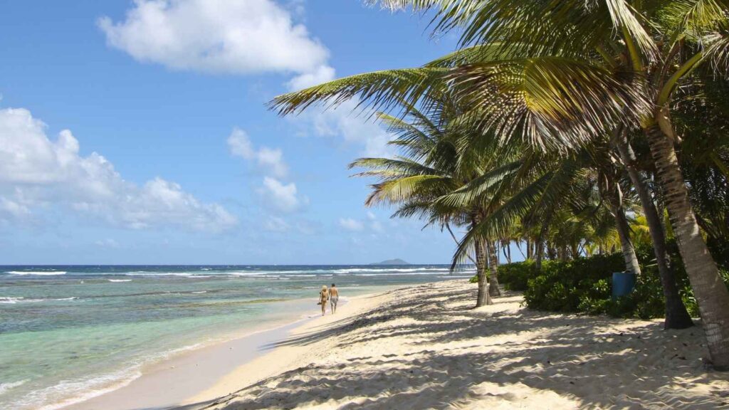 A sandy beach with clear turquoise water, palm trees lining the shore, and two people strolling along the water's edge under a blue sky&mdash;an idyllic scene just waiting for you after a relaxing Caribbean flight.