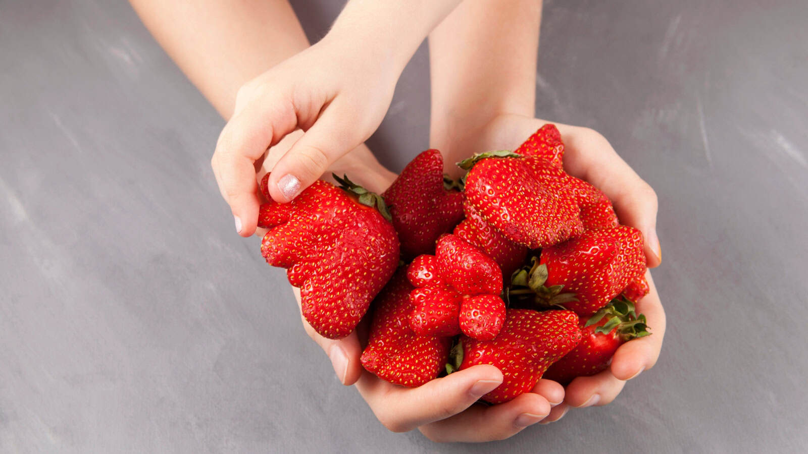A person holding a handful of fresh strawberries over a gray surface.