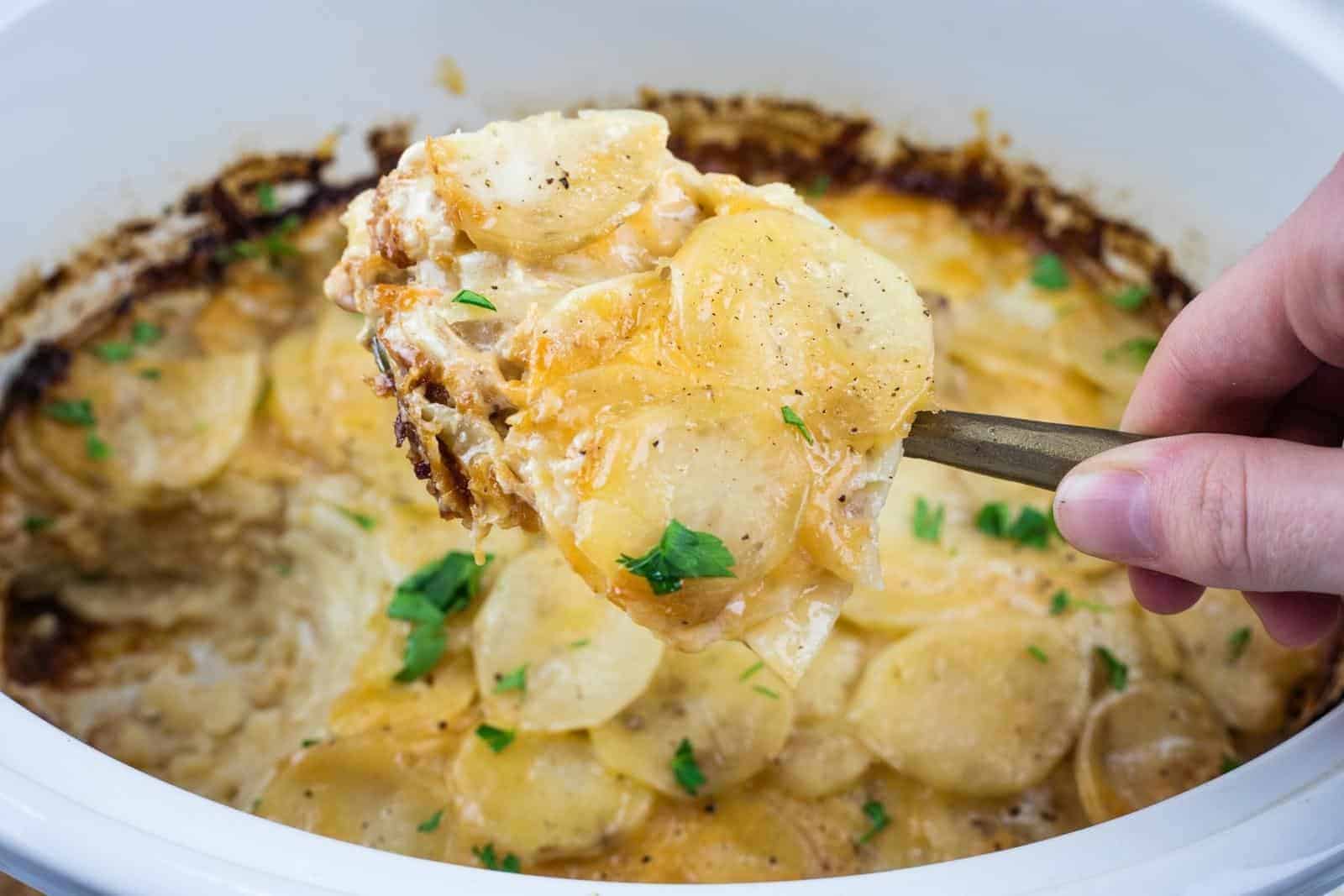 A hand holds a serving spoon with cheesy scalloped potatoes above a dish, showing layers of sliced potatoes topped with melted cheese and herbs.