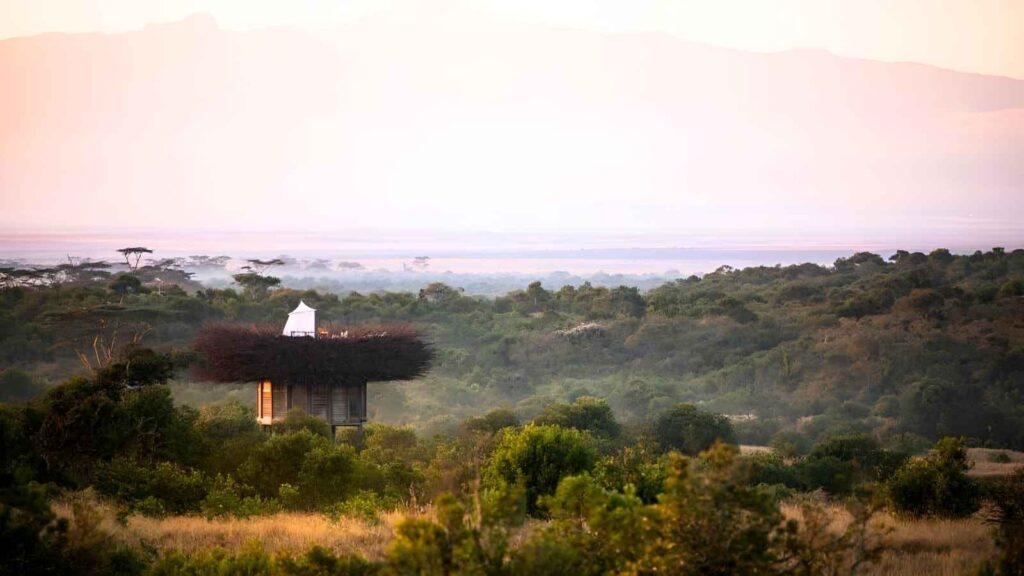 A small, elevated structure with a white roof sits amid dense green vegetation, inviting visitors to explore food tourism against a backdrop of distant mountains under a hazy sky.