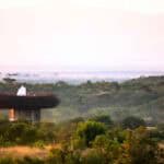 A small, elevated structure with a white roof sits amid dense green vegetation, inviting visitors to explore food tourism against a backdrop of distant mountains under a hazy sky.