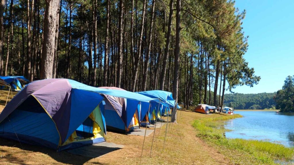 Several blue tents are set up along the edge of a lake, surrounded by tall pine trees under a clear blue sky, creating a peaceful setting that invites visitors to practice good campground etiquette.