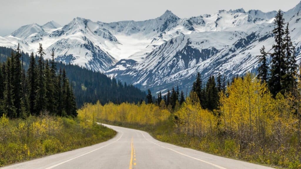 A paved road curves through a forest with yellow and green foliage, leading toward snow-covered mountains under a cloudy sky—much like the scenic vistas you might enjoy on a Windstar Alaska cruise.