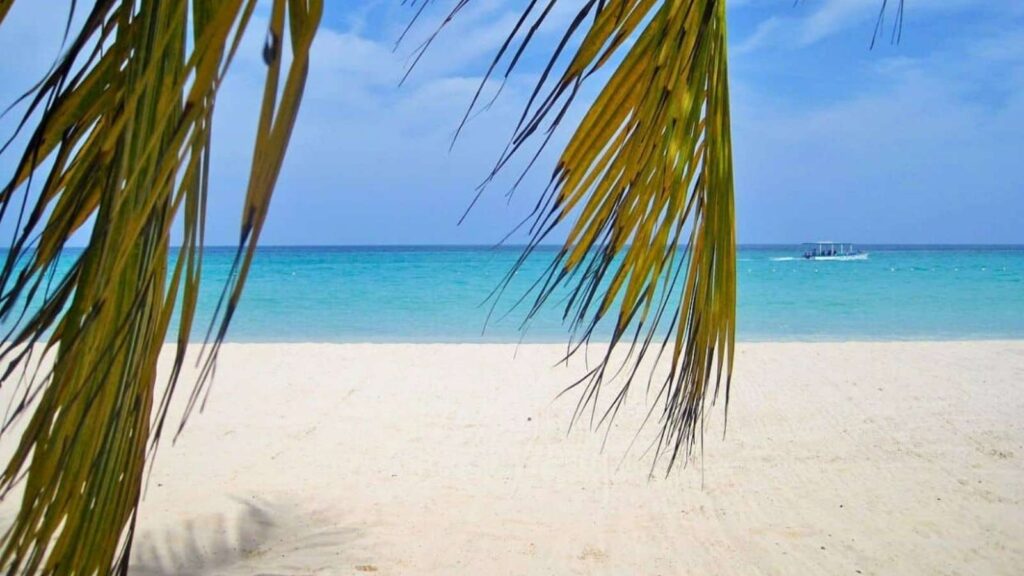 Palm fronds frame a view of a white sandy beach, turquoise ocean, and a boat on the horizon under a blue sky.