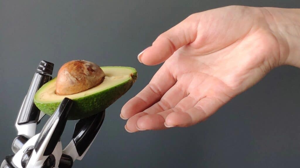 A human hand reaches toward half an avocado with a pit, held by an avocado harvesting robot’s mechanical hand against a plain gray background.