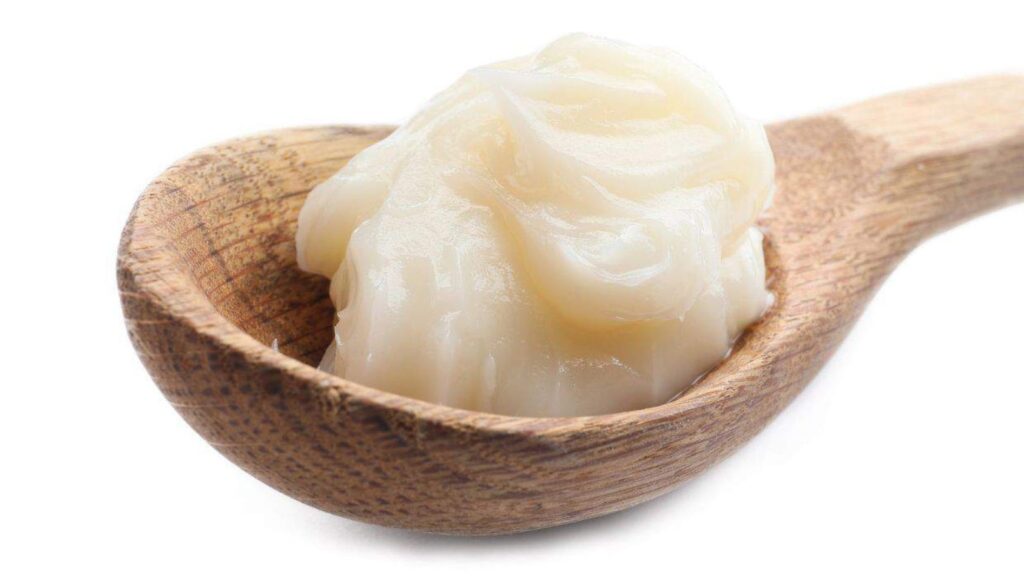 A wooden spoon holding a dollop of white, creamy substance, likely lard or shortening, against a plain white background.