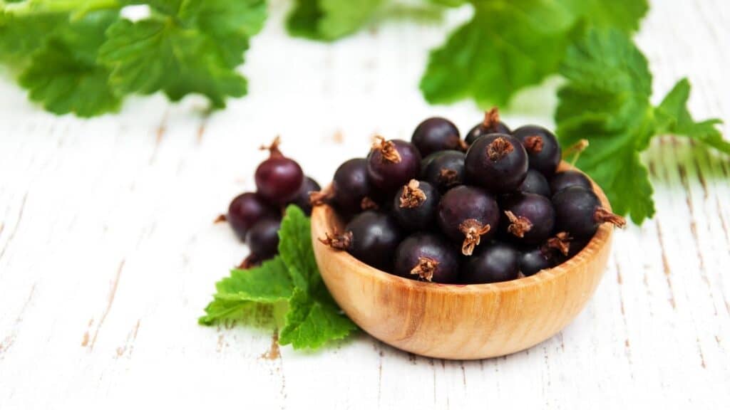 A wooden bowl filled with blackcurrants sits on a white wooden surface, with green leaves scattered around it.