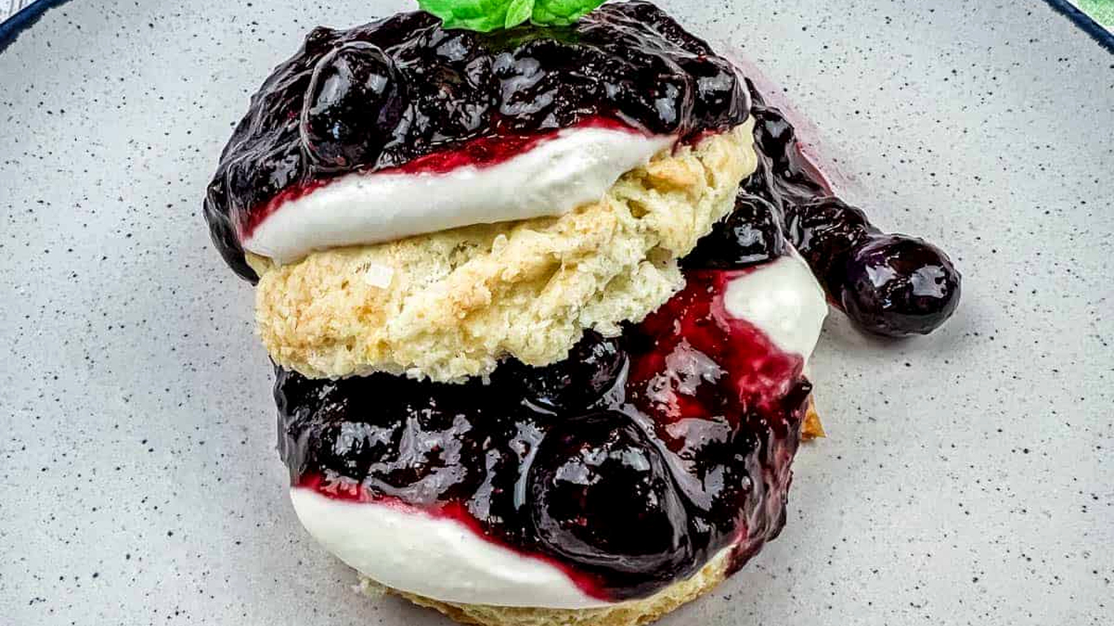 Blueberry Cheesecake on a plate.