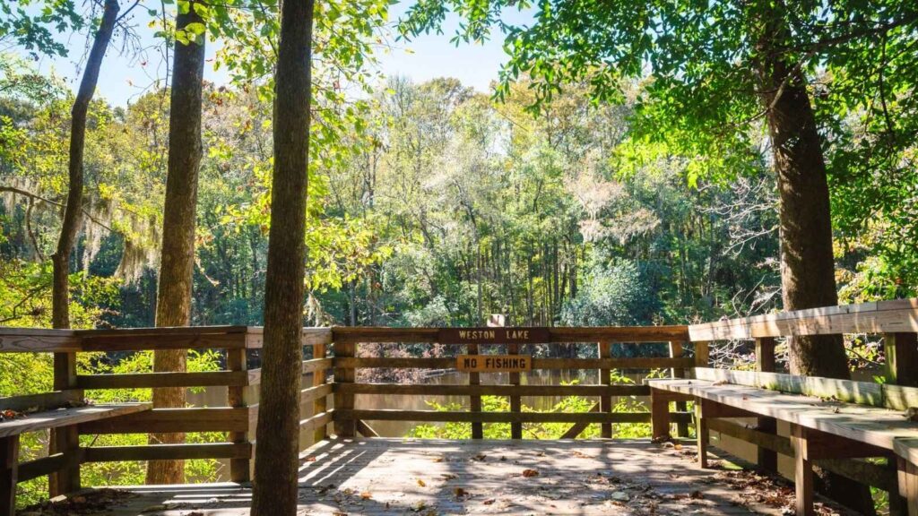 Wooden viewing platform surrounded by trees overlooks a lake; a sign on the railing reads “Weston Lake No Fishing.”.