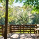 Wooden viewing platform surrounded by trees overlooks a lake; a sign on the railing reads “Weston Lake No Fishing.”.