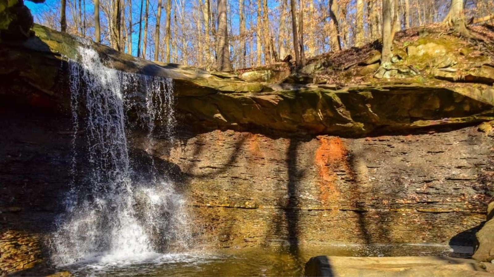 A small waterfall flows over a rocky ledge into a shallow pool, surrounded by leafless trees under a clear blue sky.