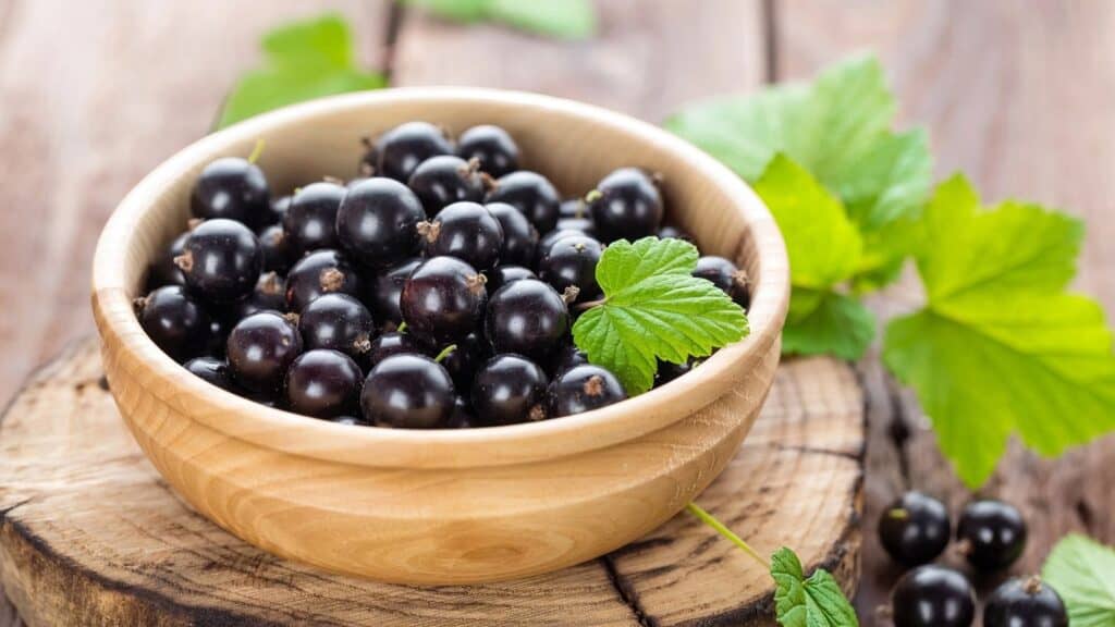 A wooden bowl filled with blackcurrants and a few green leaves, placed on a tree stump with more leaves in the background.