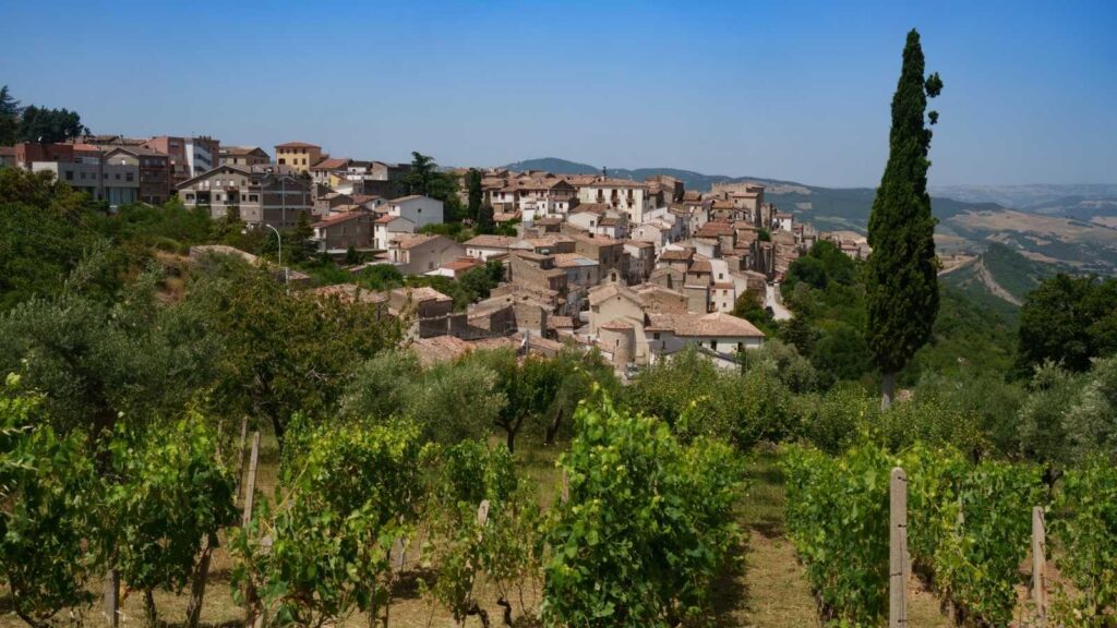 A hillside village with stone houses and red roofs sits above a vineyard and olive trees under a clear blue sky, evoking the timeless charm of southern Italy wine estates.