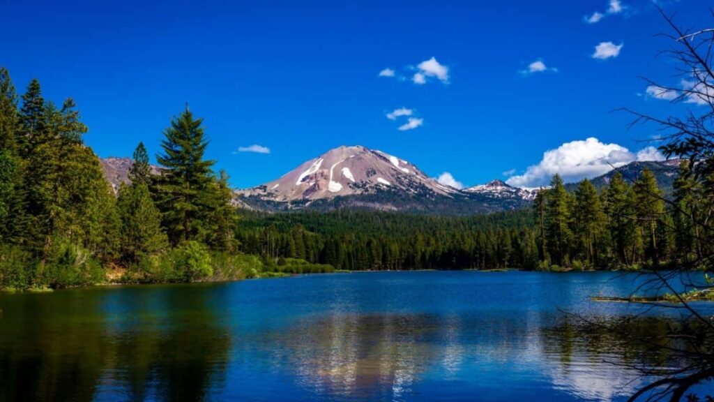 A clear blue lake surrounded by pine trees with a snow-capped mountain and blue sky in the background.
