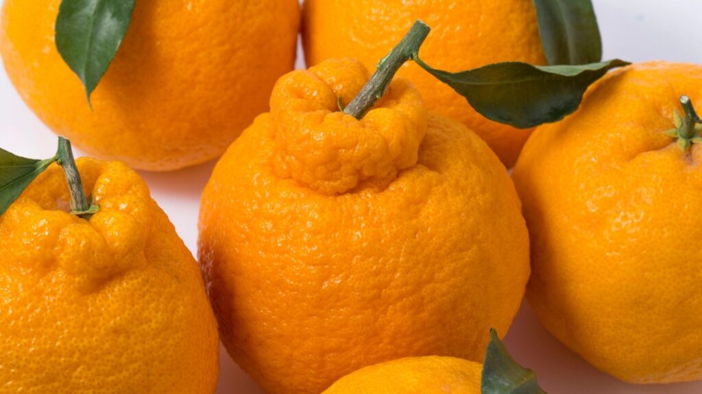 Several ripe, orange dekopon citrus fruits with green leaves attached, displayed closely together on a white surface.
