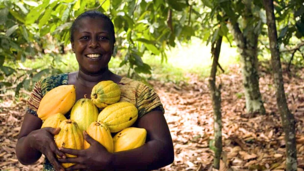 A woman stands outdoors, smiling and holding a large bundle of yellow and green cocoa pods in her arms, with trees and fallen leaves in the background.