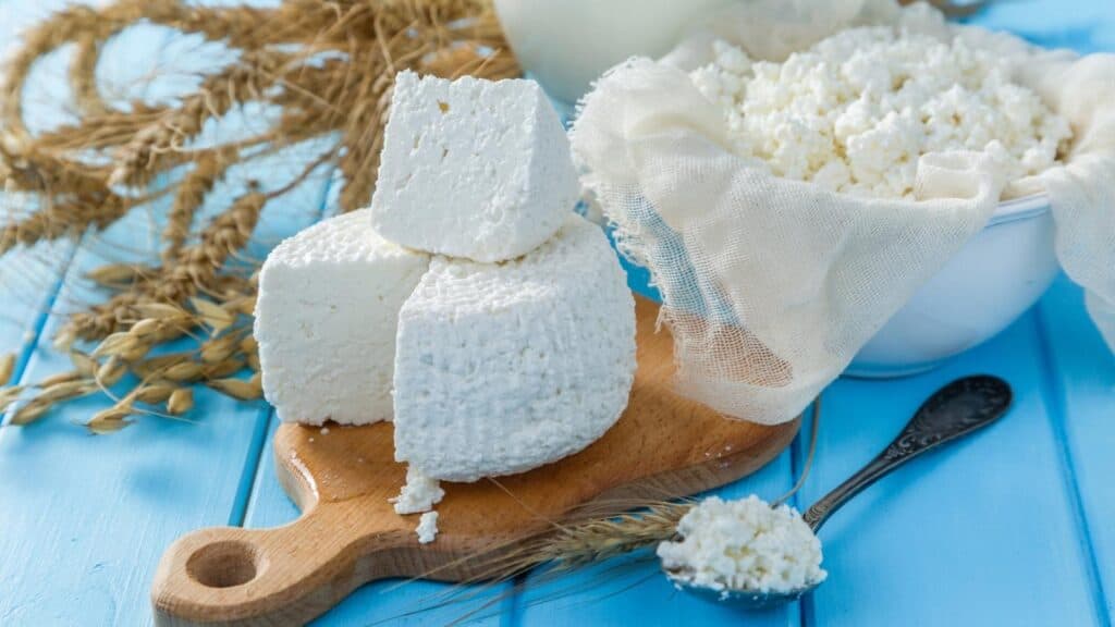 Blocks of fresh cottage cheese on a wooden board, next to a bowl of crumbled cottage cheese with a spoon, set on a blue table with dried wheat stalks add rustic charm to this inviting display.