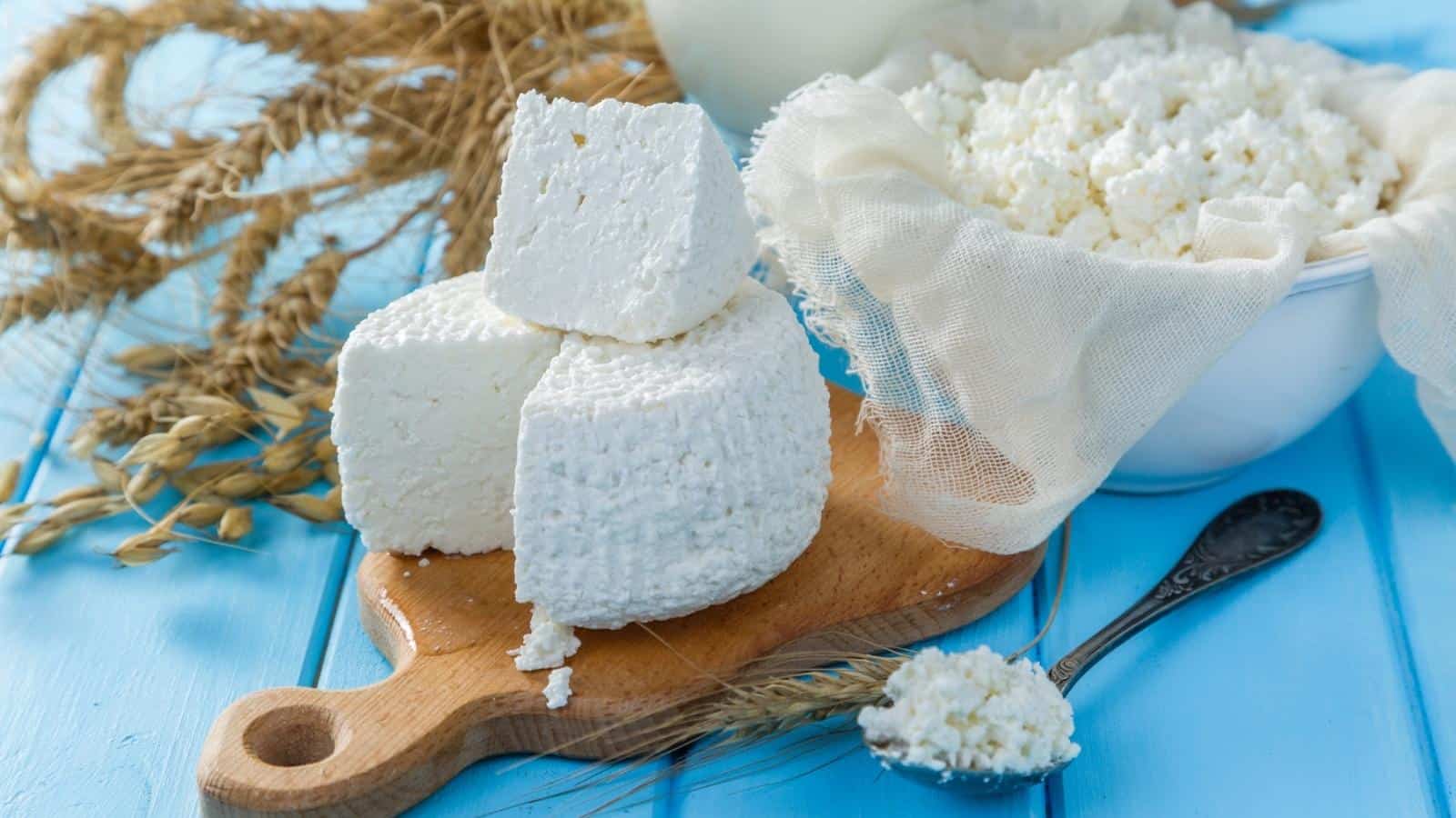Blocks of fresh cottage cheese on a wooden board, next to a bowl of crumbled cottage cheese with a spoon, set on a blue table with dried wheat stalks add rustic charm to this inviting display.