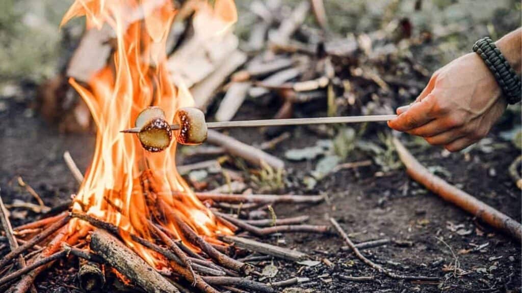 A hand holds a skewer with marshmallows over an open campfire surrounded by sticks and greenery.