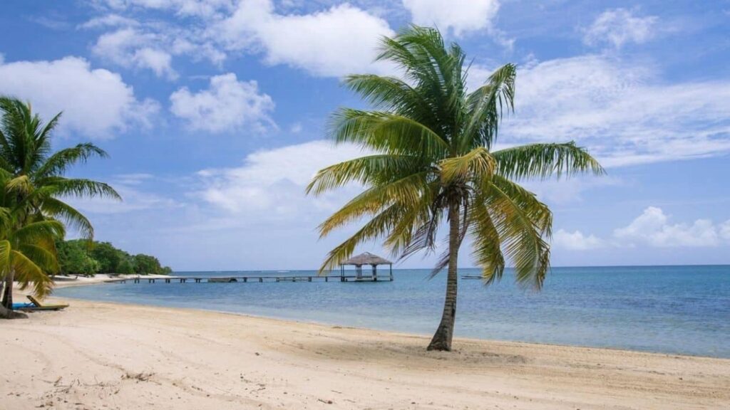 A sandy beach with palm trees, a wooden pier extending into calm blue water, and a partly cloudy sky overhead.